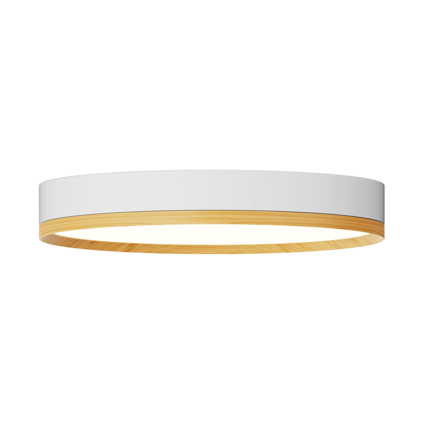 Rayhil INOVA 12" 18W Surface Mount Selectable CCT