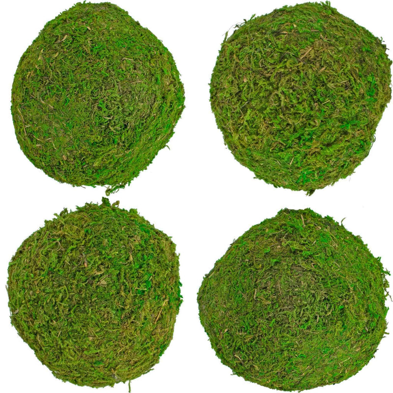 Real Decorative Moss Balls