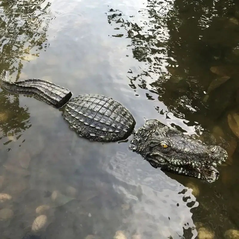 Realistic dark green & beige floating crocodile head garden water decor