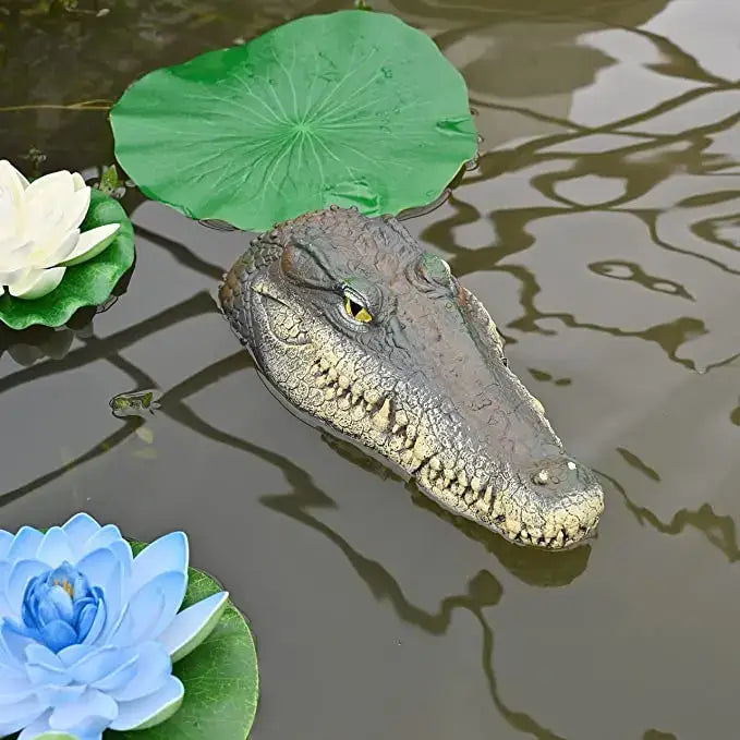 Realistic dark green & beige floating crocodile head garden water decor