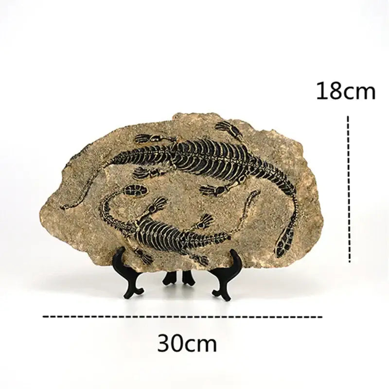 Retro gray and brown dinosaur fossil figurine living room decor