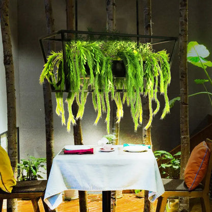 DecorBites™ Retro Metal 2-Headed Black LED Drop Lamp for Restaurant Island Ceiling - Trapezoid Design with Plant Decor