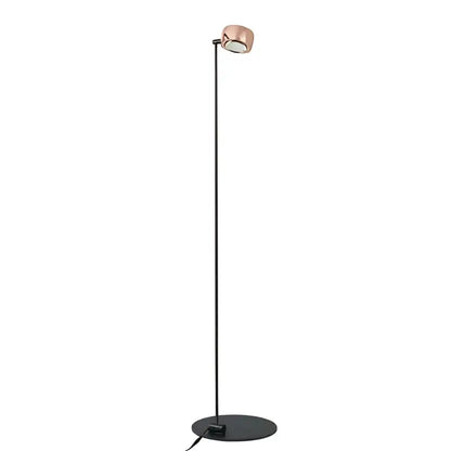 Rose gold designer fishing floor lamp for living room