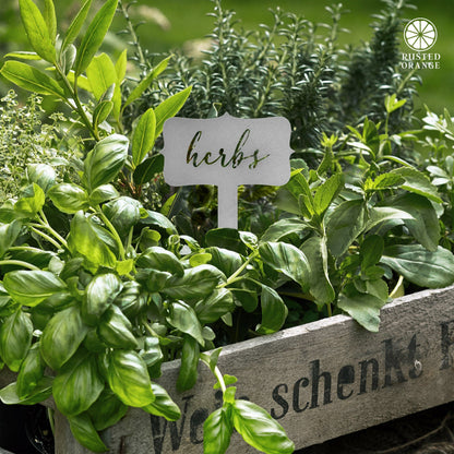 [COL] Window Garden Markers - Your Favorite 5 - Herb Garden Plant Identification Stakes
