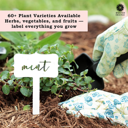 [COL] Window Garden Markers - Your Favorite 5 - Herb Garden Plant Identification Stakes