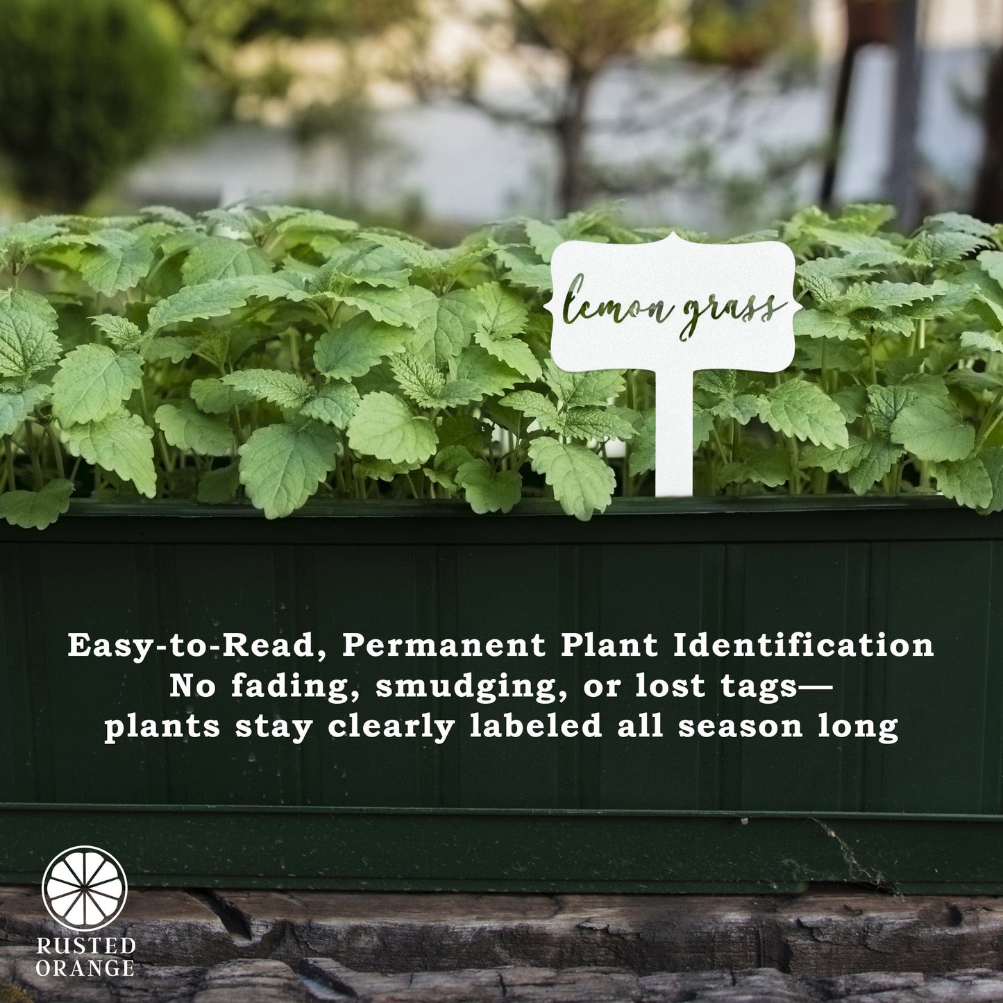 [COL] Window Garden Markers - Your Favorite 5 - Herb Garden Plant Identification Stakes