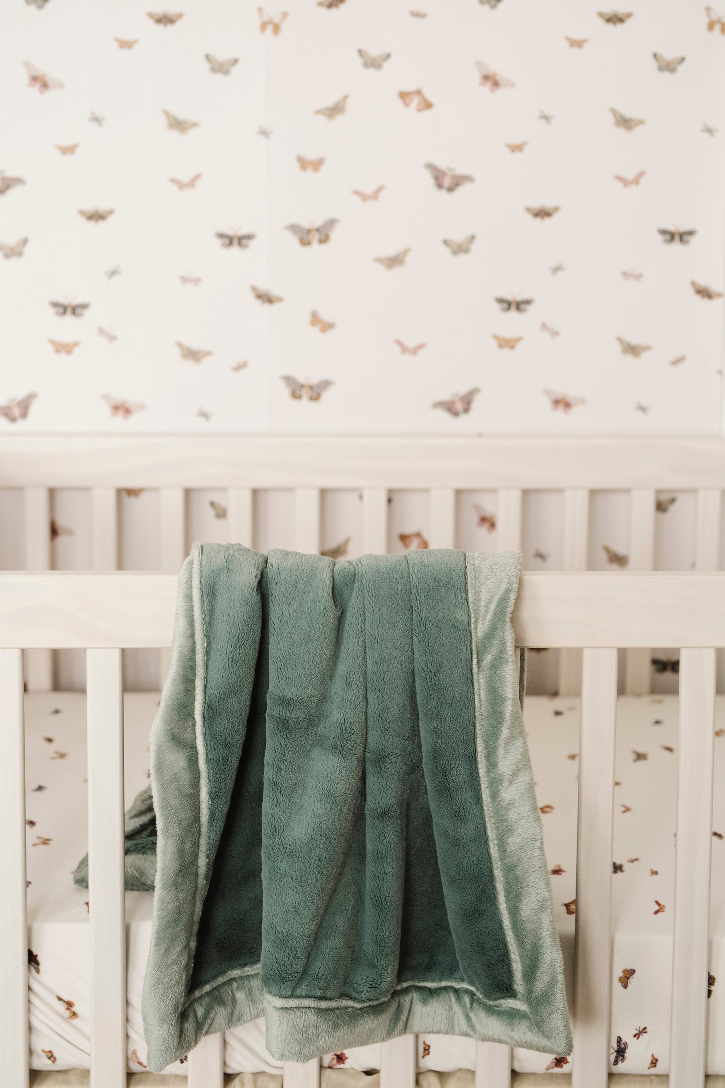 Butterfly Wallpaper by Saranoni