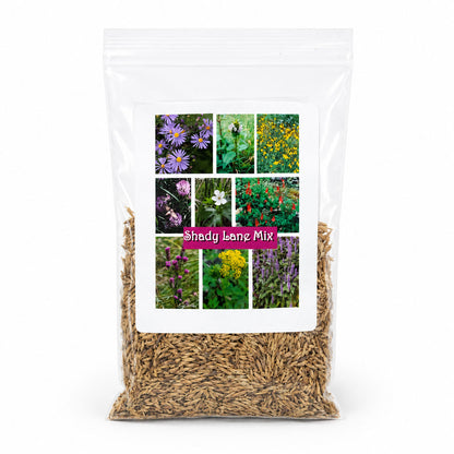 Shady Lane Native Wildflower Seed Mix | 2.88 oz | Prairie Legacy Inc.