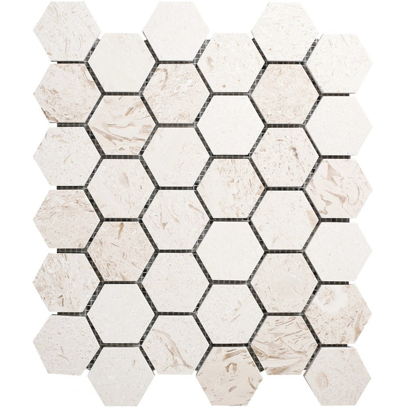 Shell Stone Limestone 2" Hexagon Honed on 12" x 12" Mesh Mosaic Tile