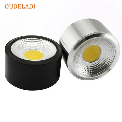 Silver 15w cob led downlight for exhibition and decorative lighting