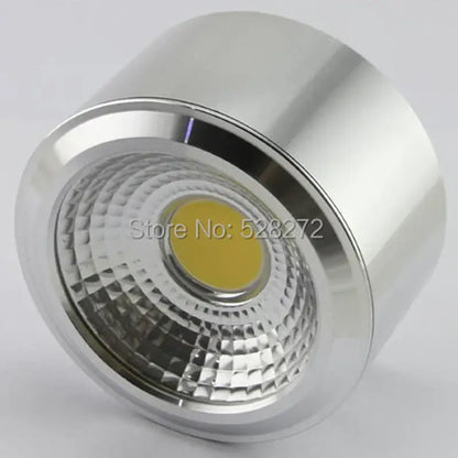 Silver 15w cob led downlight for exhibition and decorative lighting
