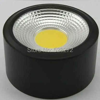 Silver 15w cob led downlight for exhibition and decorative lighting