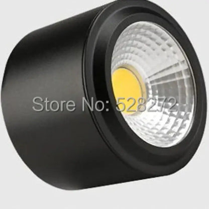 Silver 15w cob led downlight for exhibition and decorative lighting