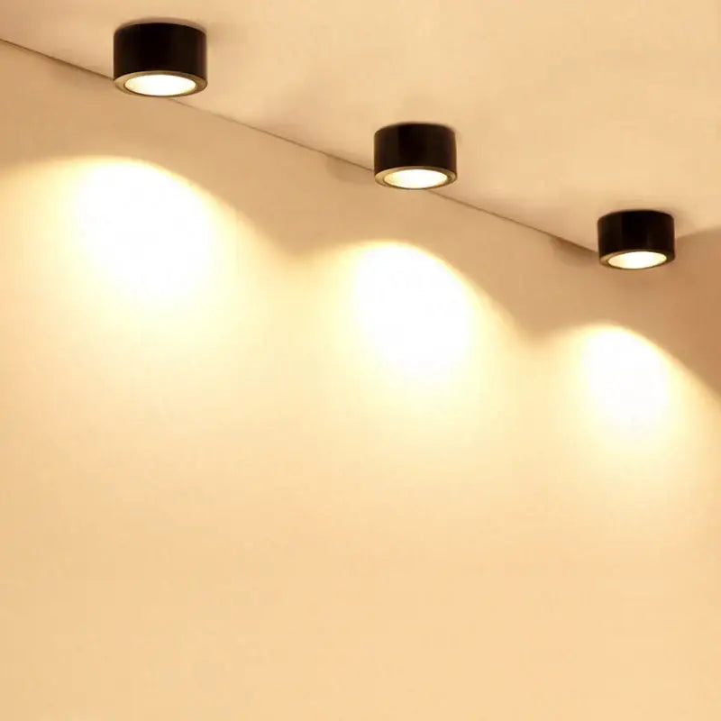 Silver 15w cob led downlight for exhibition and decorative lighting