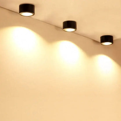Silver 15w cob led downlight for exhibition and decorative lighting