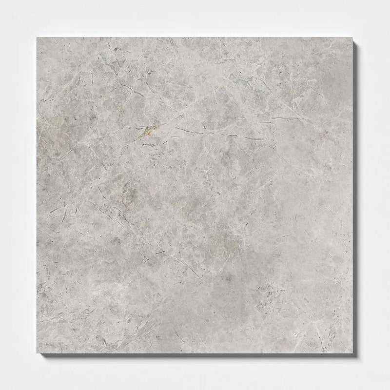 Silver Horizon Polished Marble Tiles 24x24
