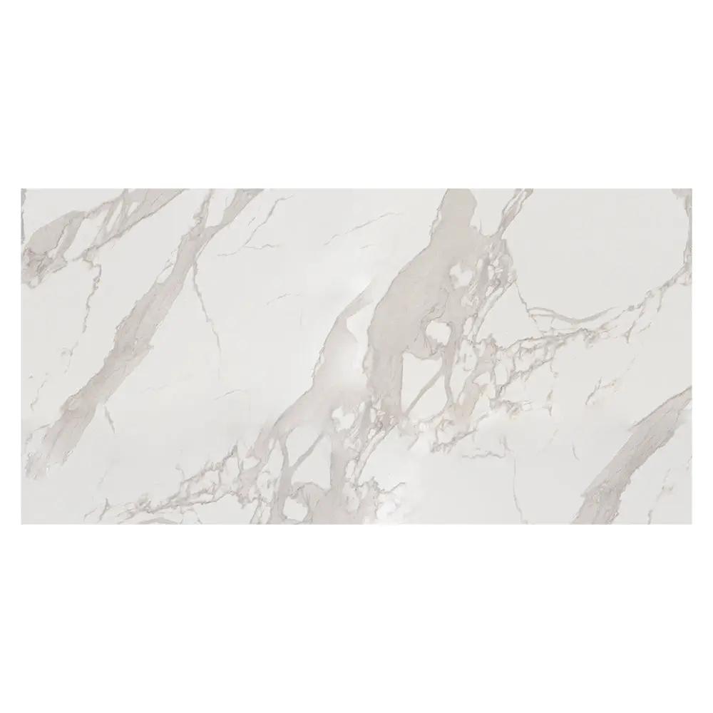 Simplicity Polished Porcelain Tiles 12x24