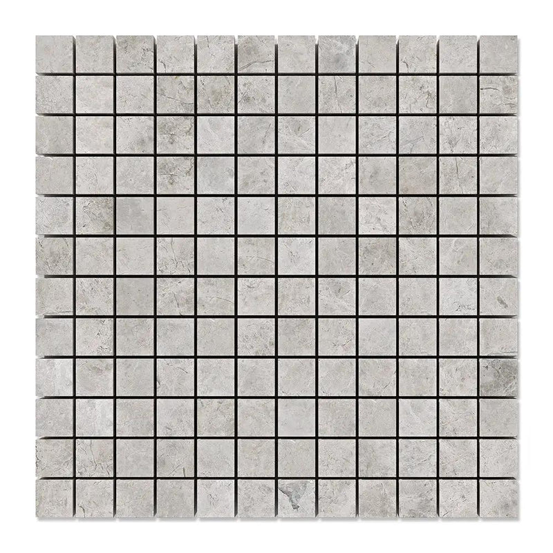 Silver Horizon Honed 1x1 Marble Mosaics 12x12