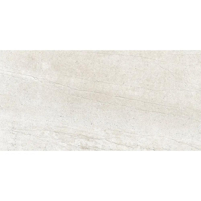Snow Matte Porcelain Tiles 12x24