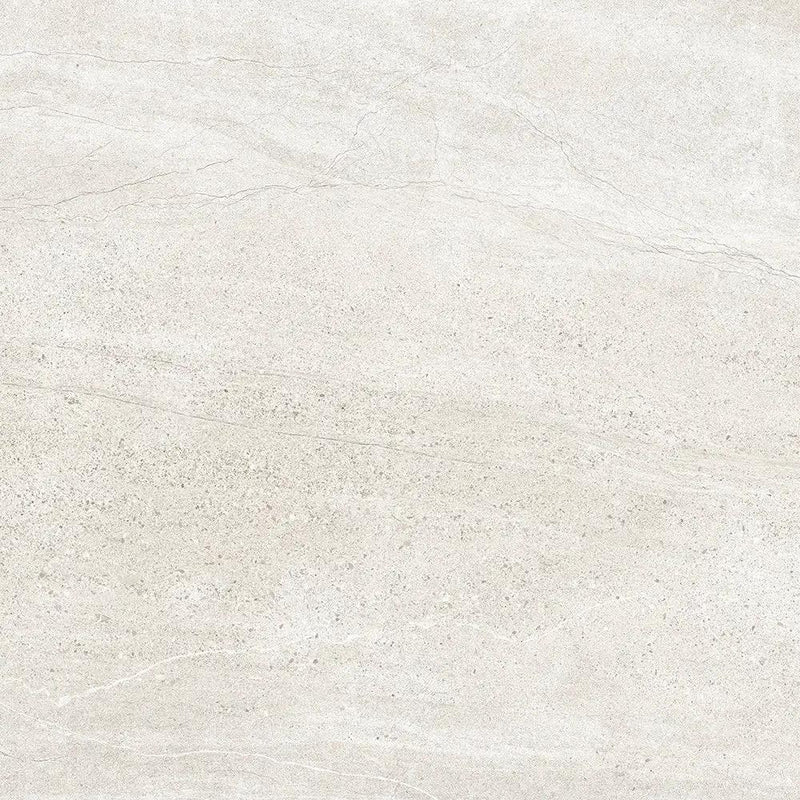 Snow Matte Porcelain Tiles 24x24