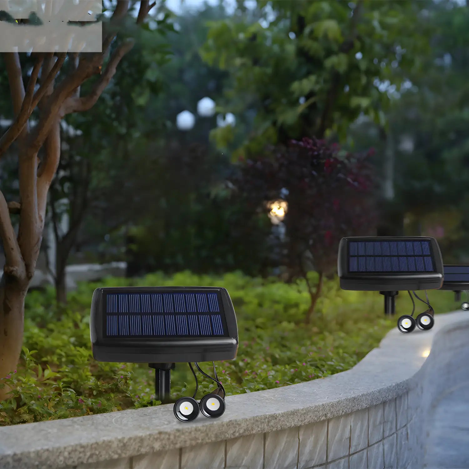 Solar Lawn Light – LED Garden Pathway Light, Waterproof & Durable