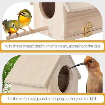 DecorBites™ Squirrel Feeder Birdhouse Kit with Hummingbird Camera