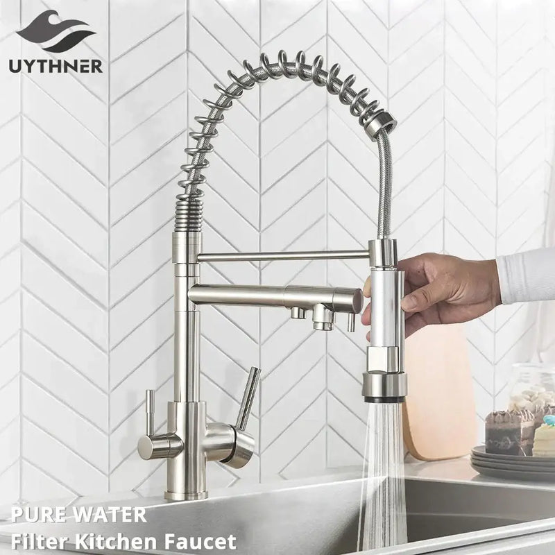 Stainless steel coiled spring kitchen water filter faucet