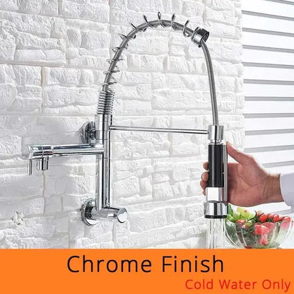Stainless steel dual spouts kitchen faucet with pull out spray head