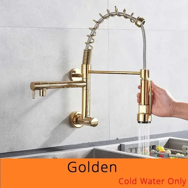 Stainless steel dual spouts kitchen faucet with pull out spray head