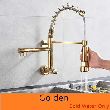 Stainless steel dual spouts kitchen faucet with pull out spray head