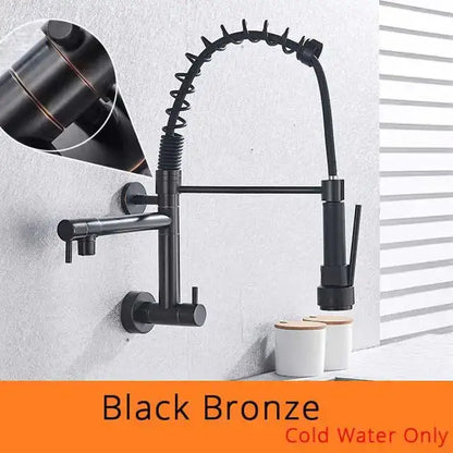 Stainless steel dual spouts kitchen faucet with pull out spray head