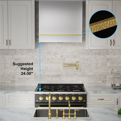 Akicon 30" Stainless Steel Wall Mount Range Hood with 600 CFM Vent Hood