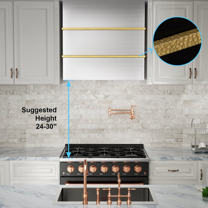 Akicon 30" Stainless Steel Wall Mount Range Hood with 600 CFM Vent Hood