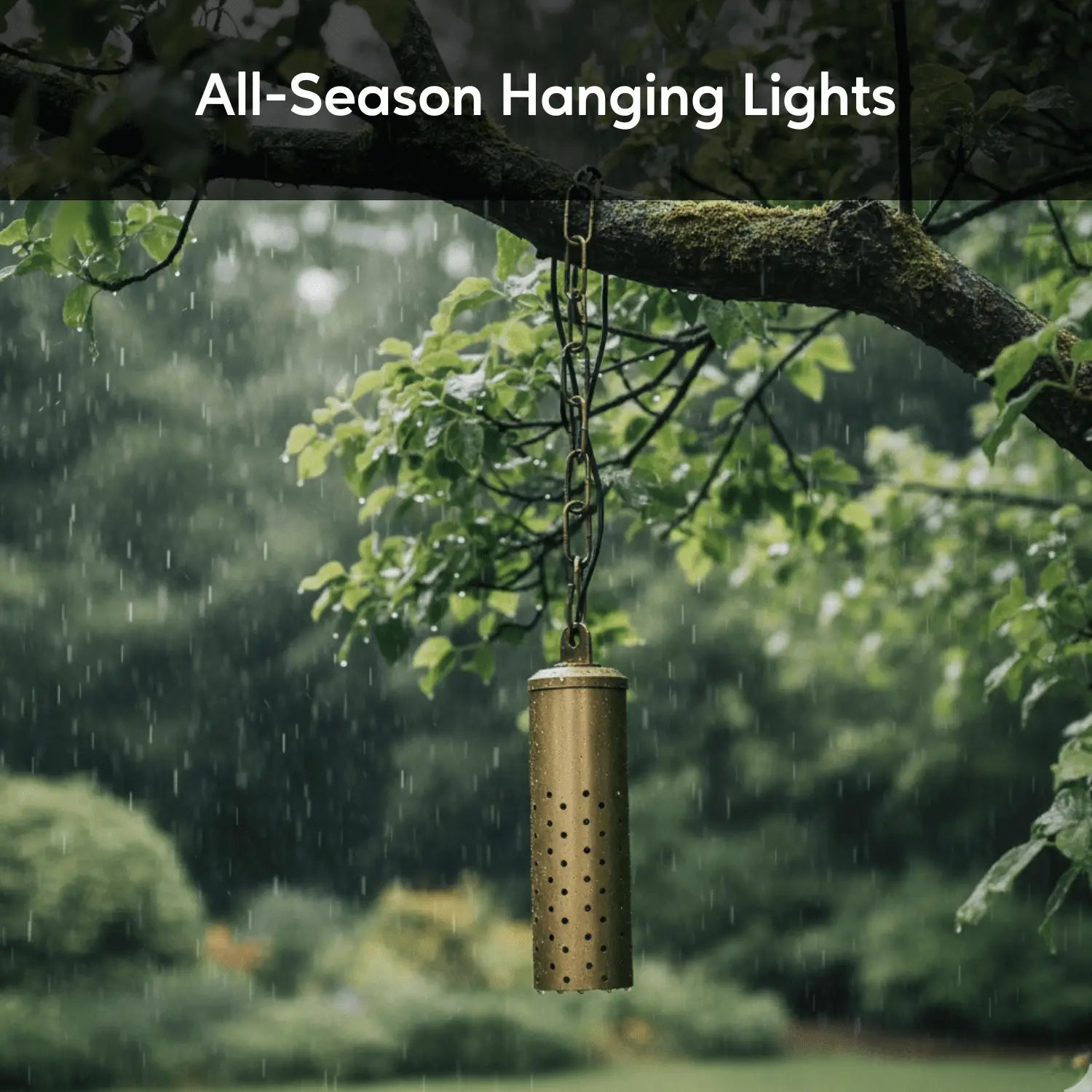 Starlight Outdoor Modern Hanging Light Fixtures
