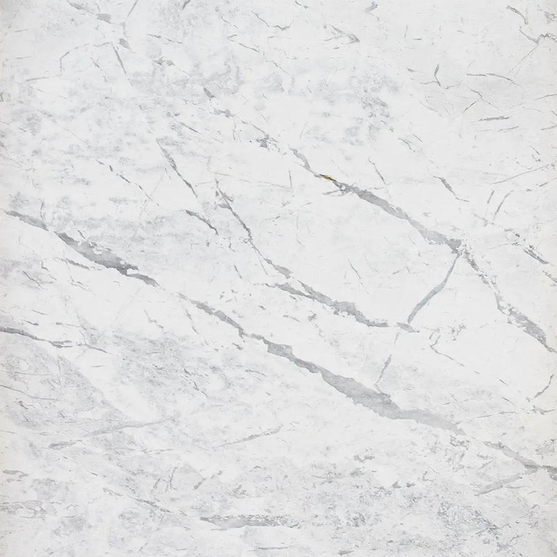 Statuarietto Polished Marble Tiles 18x18