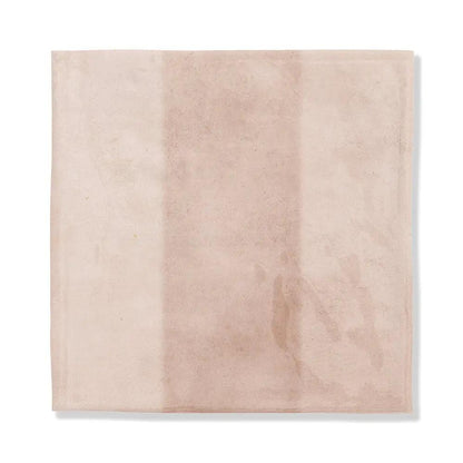 Steppe Glossy Ceramic Accent Tiles 5x5