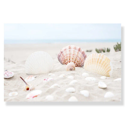 DecorBites™ Summer Beach Seashell Canvas Wall Art