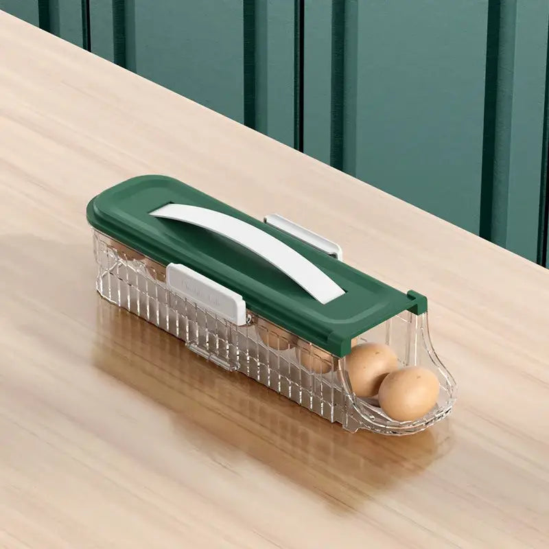 Two tier clear green & white egg storage box kitchen organizer