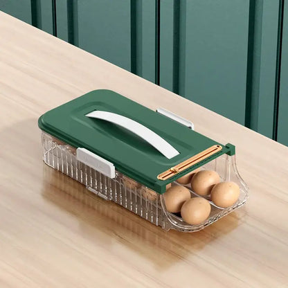 Two tier clear green & white egg storage box kitchen organizer