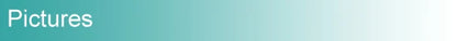DecorBites™ USB Rechargeable Night Light Pear Silicone Night Lights Touch Sensor Bedroom Bedside Cat Lamp With Remote For Kids Baby Gifts