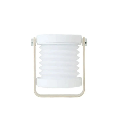 USB Rechargeable & Portable Lamp with Foldable LED Light Feature