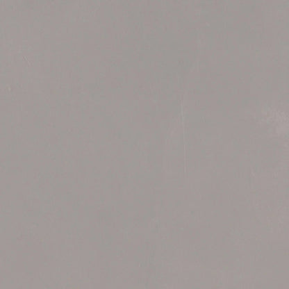 Vision Dw Pearl Anti-Slip Resin Look Porcelain Tiles 24x24