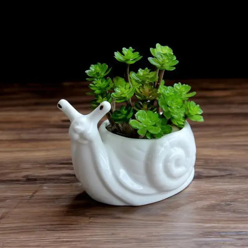 White cartoon snail flower vase ceramic garden succulent pot