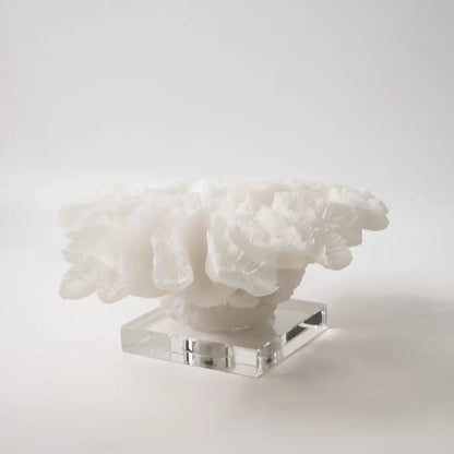 White coral tree resin handicrafts with crystal base living room decor