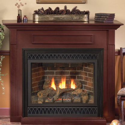 White Mountain Hearth Tahoe Propane Gas Direct Vent Deluxe Fireplace With Switch And Blower [DVD36FP] (SAK98471)